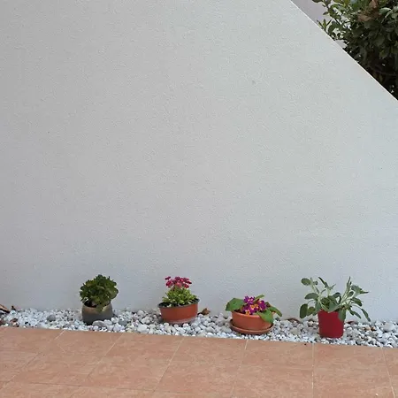 招待所 Sole 罗维尼